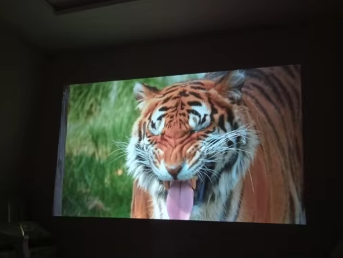 Magic Screen Home Cinema photo review