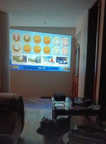 GoPro Home Projector photo review